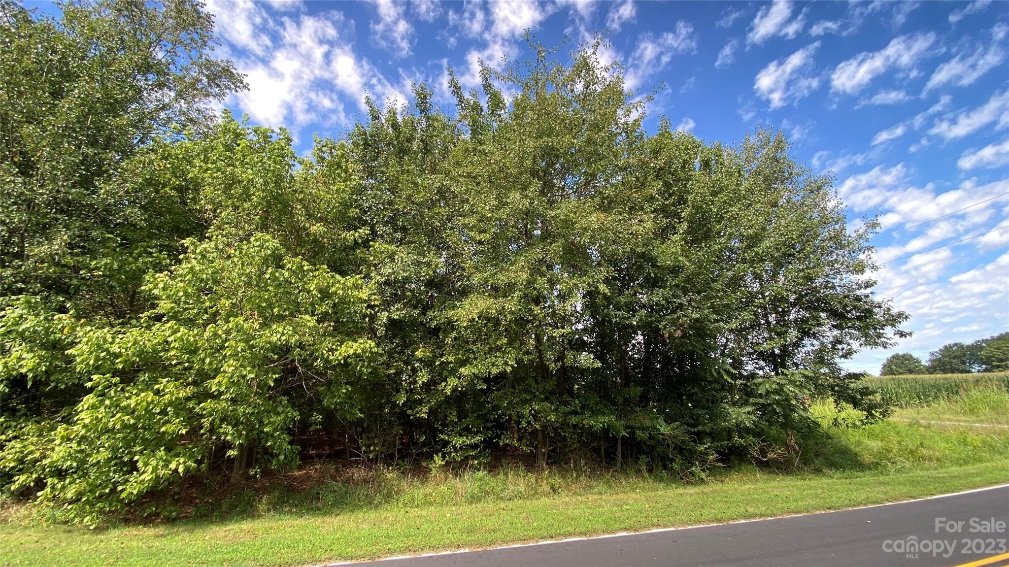 0 Fish Pond Road, Unit 4 Cherryville, NC 28021 - Photo 7 of 11 a view of a yard