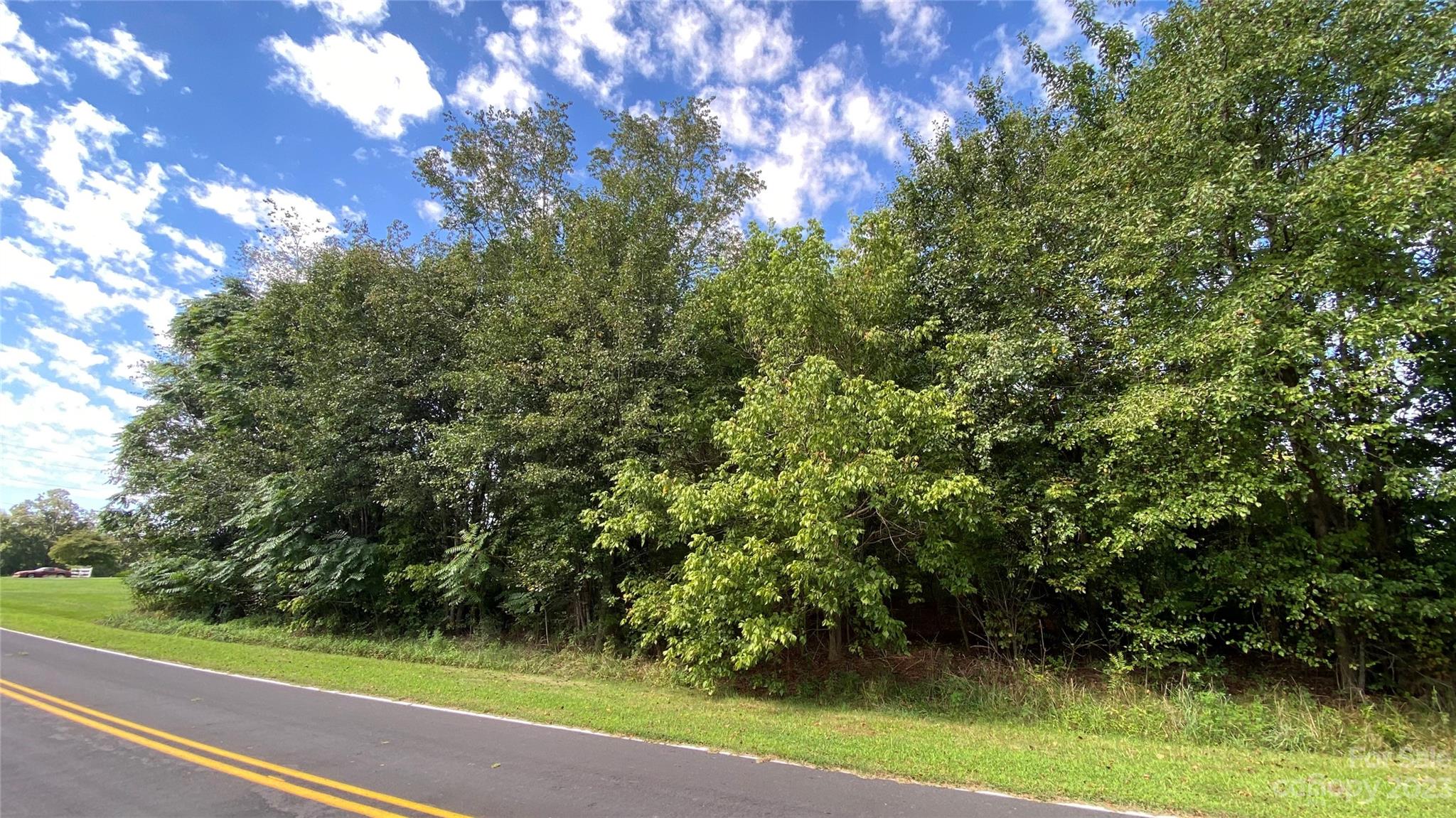 0 Fish Pond Road, Unit 4 Cherryville, NC 28021 - Photo 8 of 11 a view of a yard
