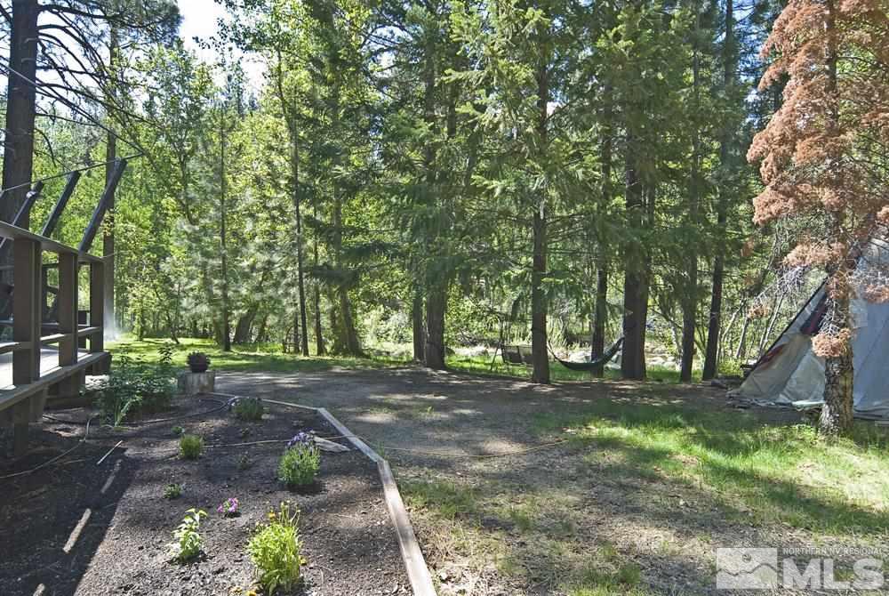 820 Hot Springs Road Markleeville, CA 96120 - Photo 11 of 36 a view of backyard with green space