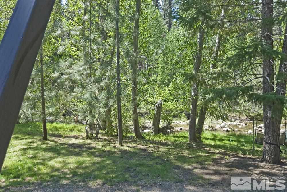 820 Hot Springs Road Markleeville, CA 96120 - Photo 12 of 36 a big yard with lots of green space and trees