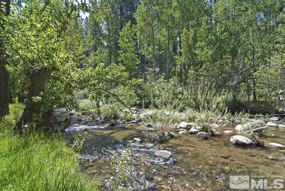 820 Hot Springs Road Markleeville, CA 96120 - Photo 3 of 36 a view of a lush green forest with lots of trees