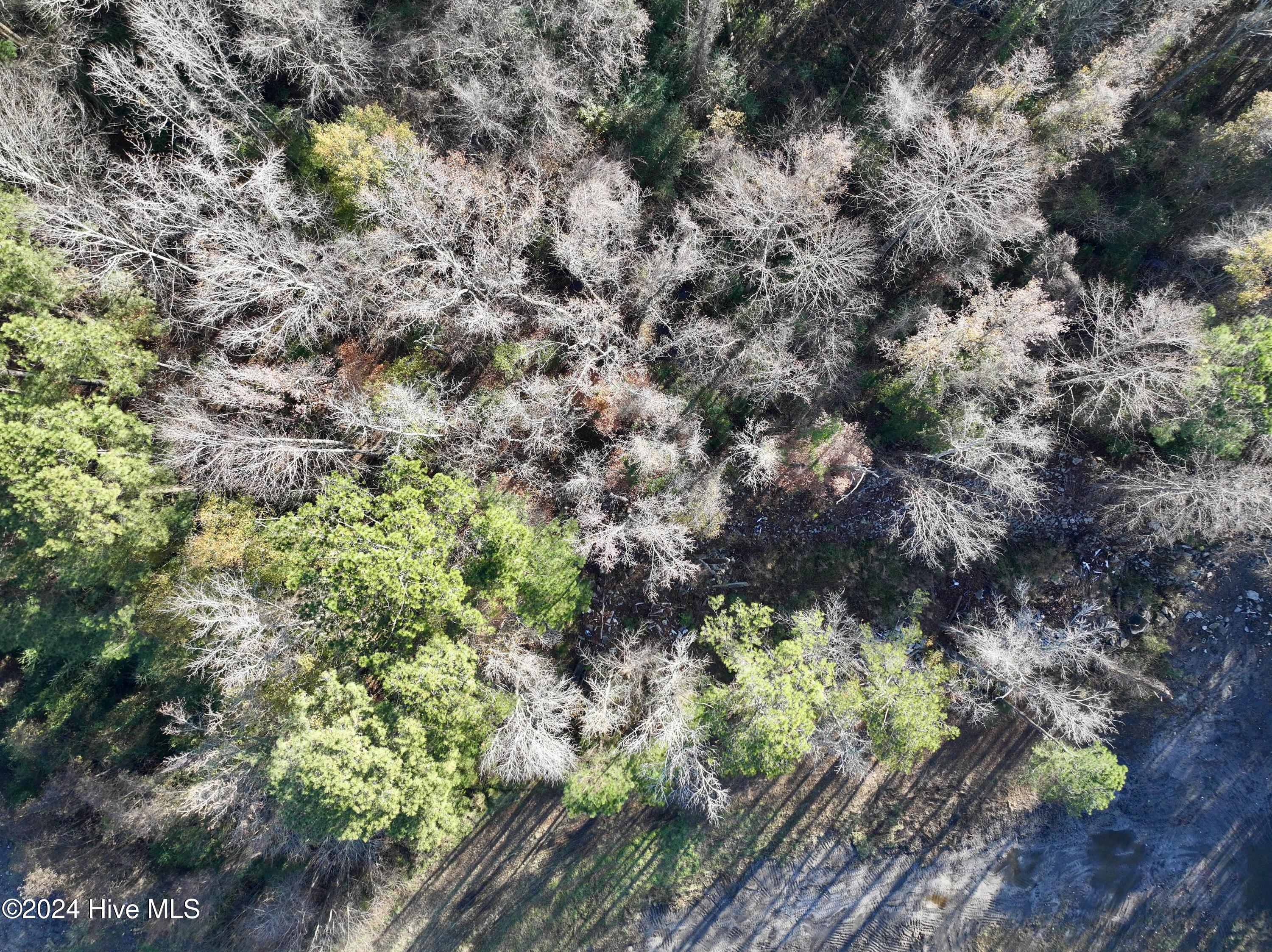 3 Smaw Road Washington, NC 27889 - Photo 25 of 34 22