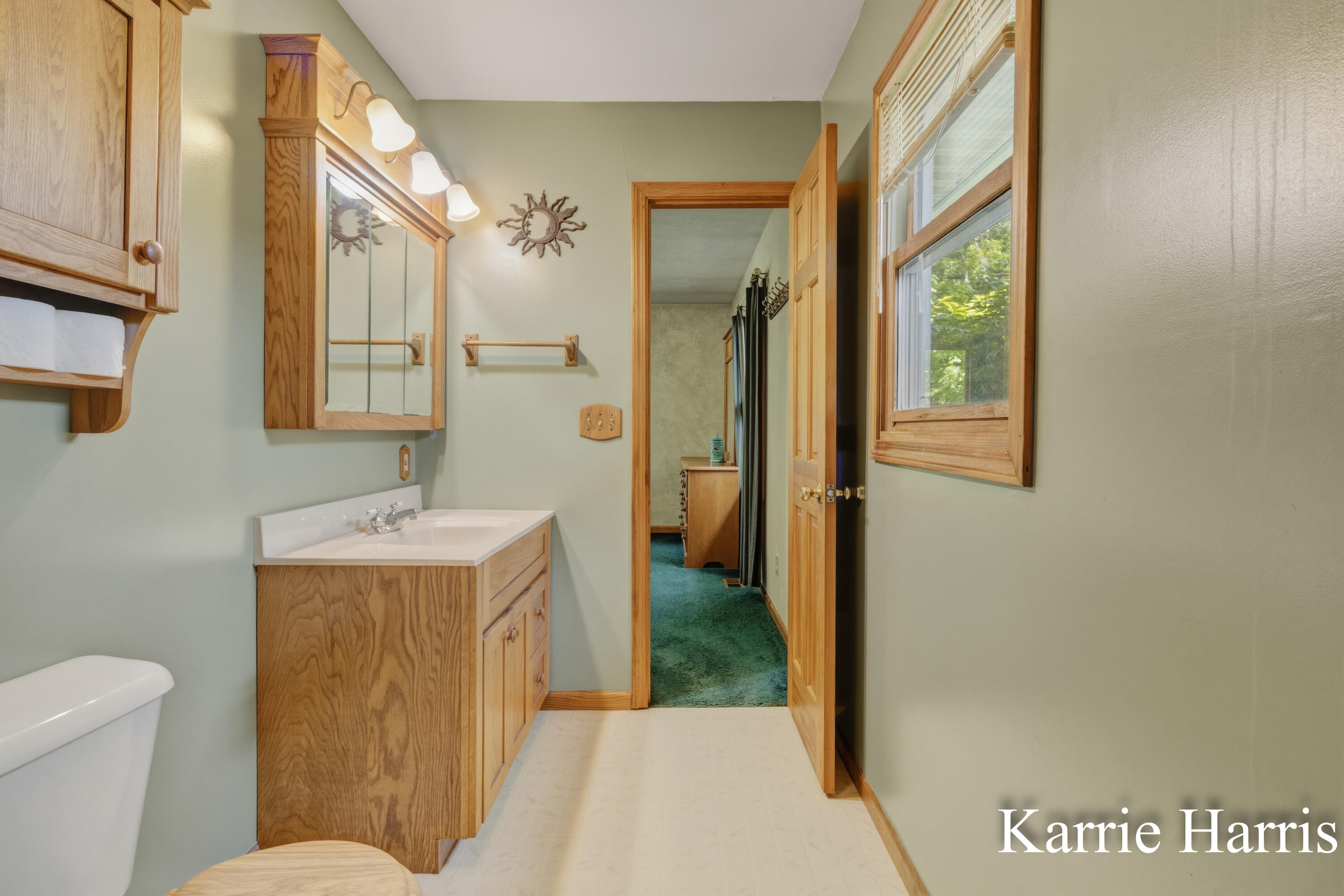 6048 Cedar Lake Road Southeast Sheridan, MI 48884 - Photo 25 of 39 Primary bedroom bath