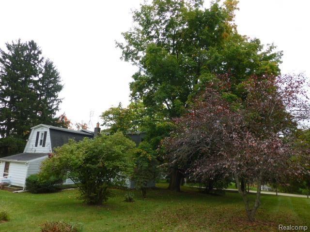 4615 Attica Road Attica, MI 48412 - Photo 37 of 37 Large Shade Trees