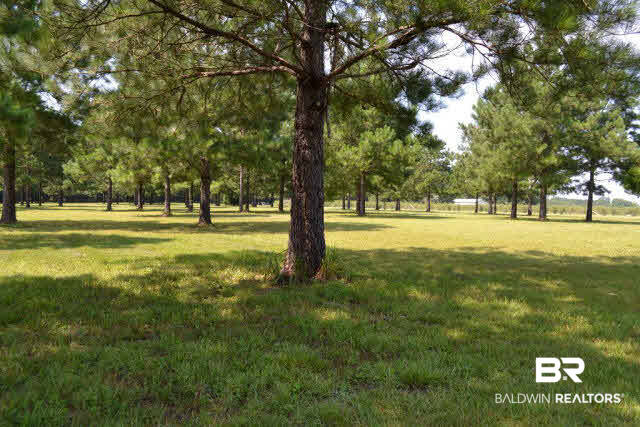 27608 County Road 65 Loxley, AL 36551 - Photo 14 of 32 1 of 4 pastures