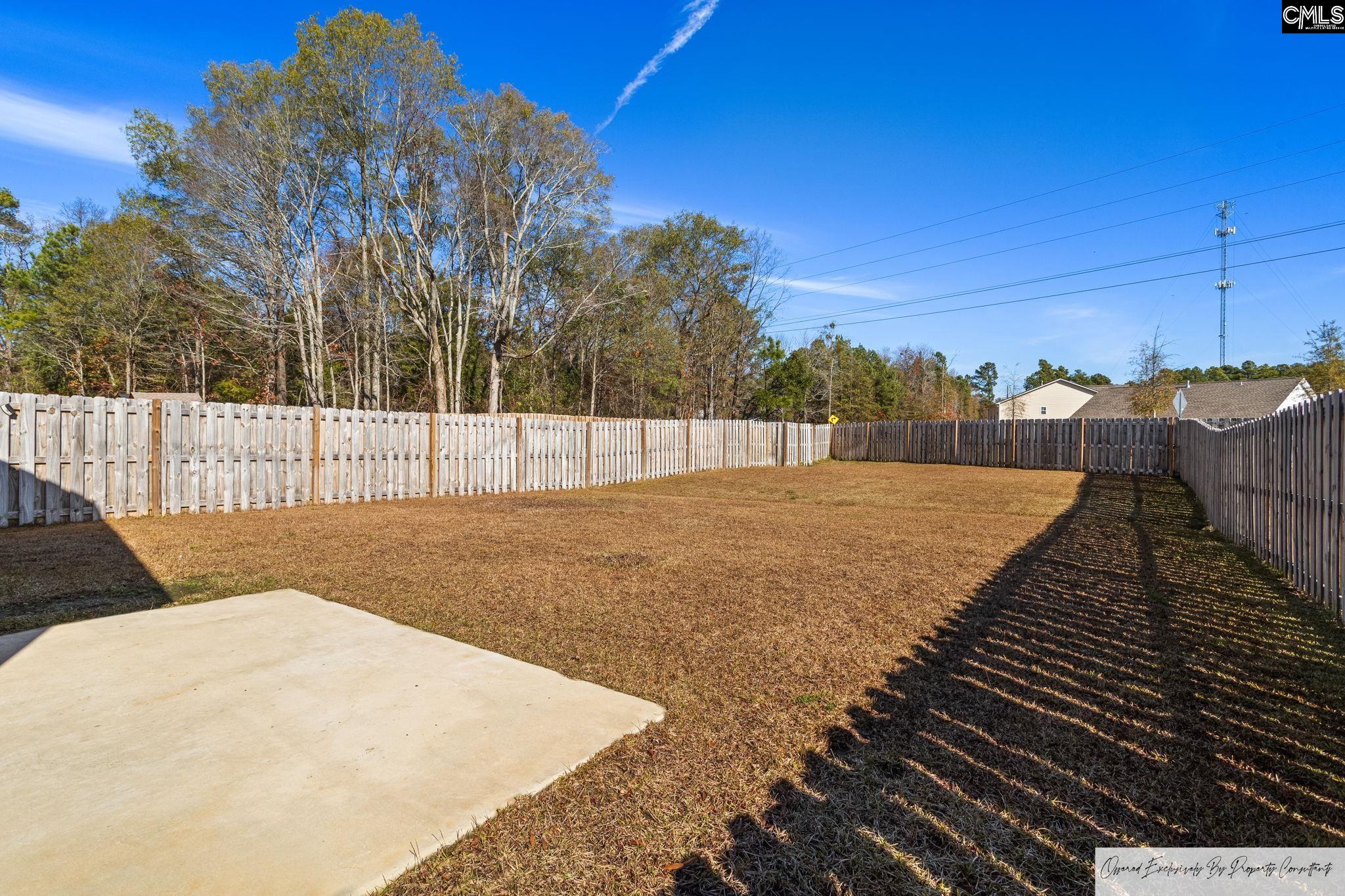 184 Wahoo Circle Irmo, SC 29063 - Photo 29 of 30