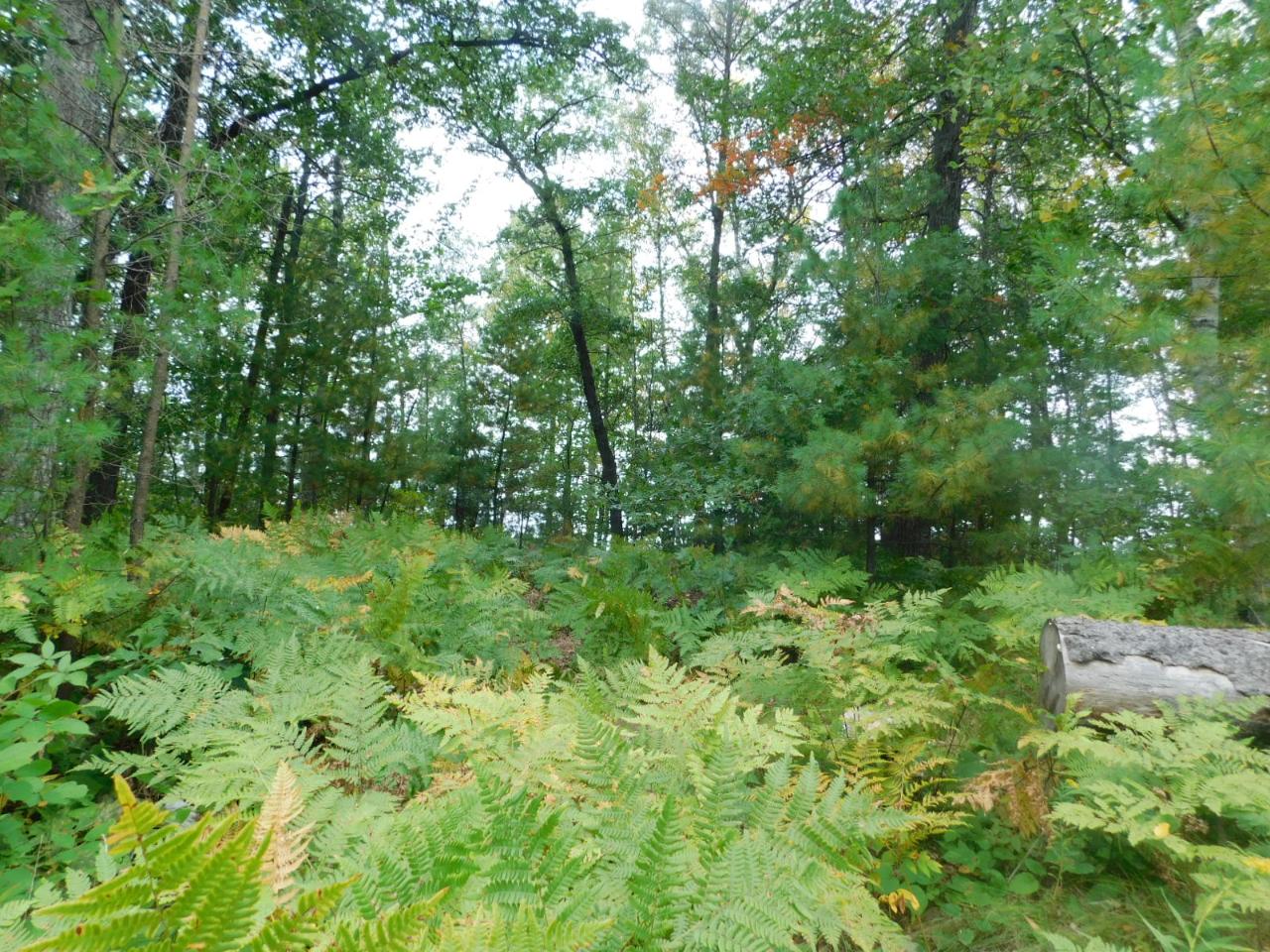 Lot 46 Ross Road Tomahawk, WI 54487 - Photo 2 of 7 Gallery Image 2