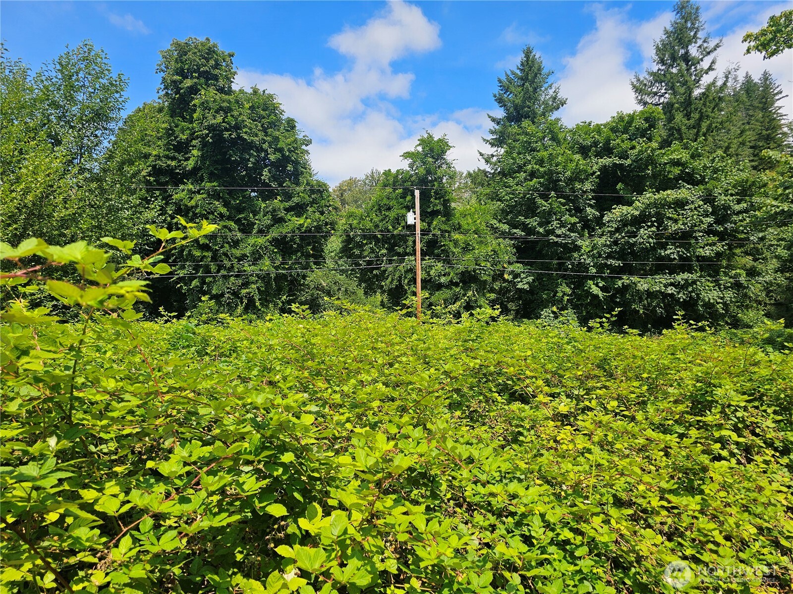14416 Whiteman Road Gold Bar, WA 98251 - Photo 11 of 13 Gallery Image 11