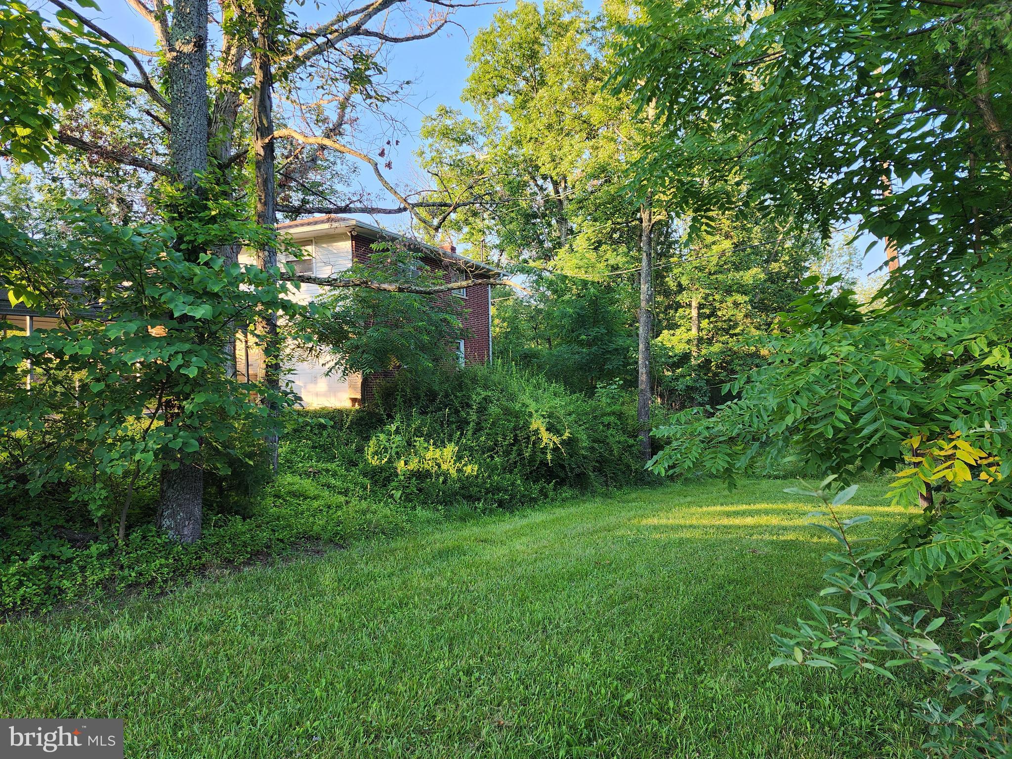 4549 Georges Run Road Ridgeley, WV 26753 - Photo 17 of 56