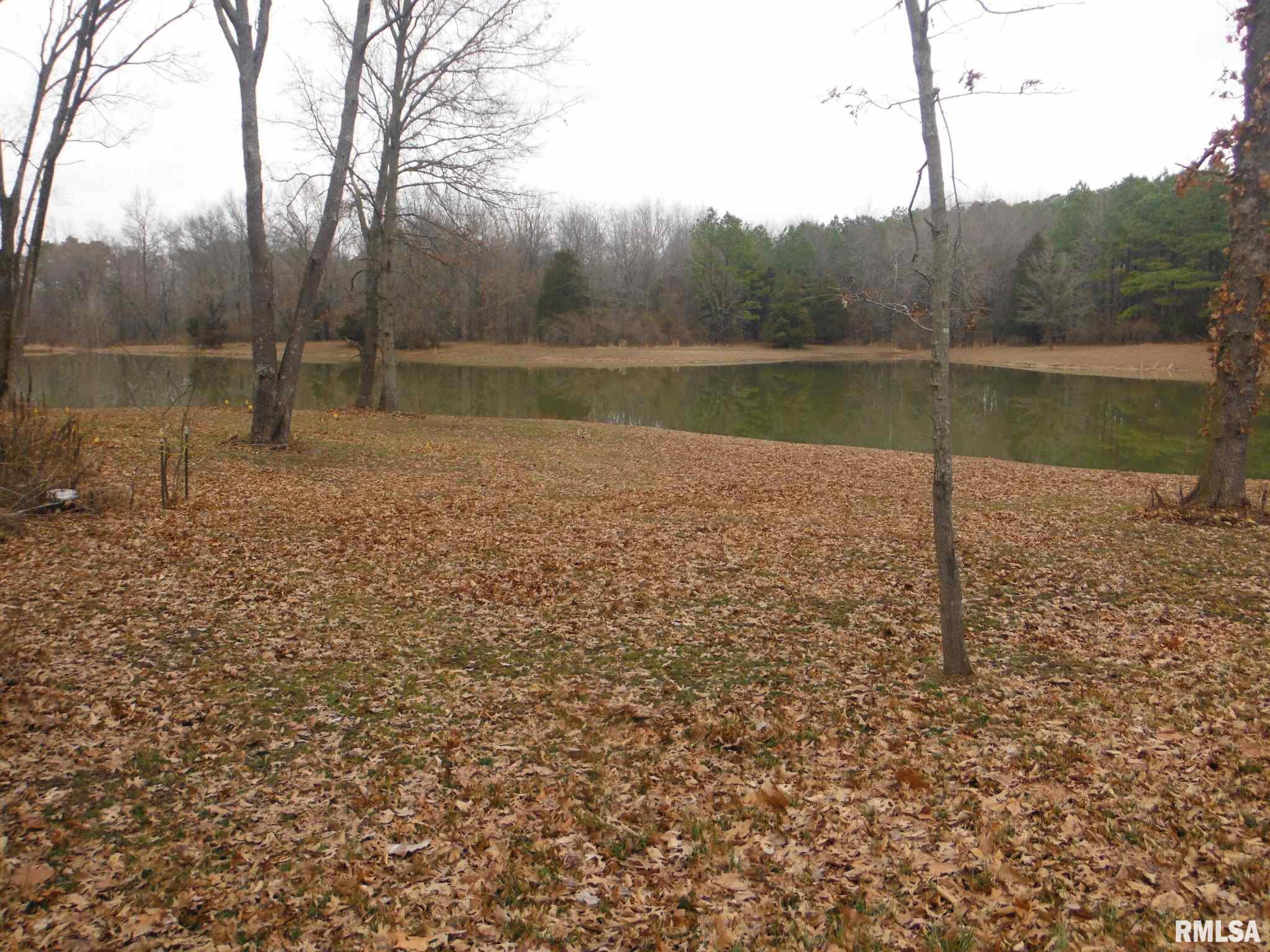 12566 Pease Road Marion, IL 62959 - Photo 14 of 48
