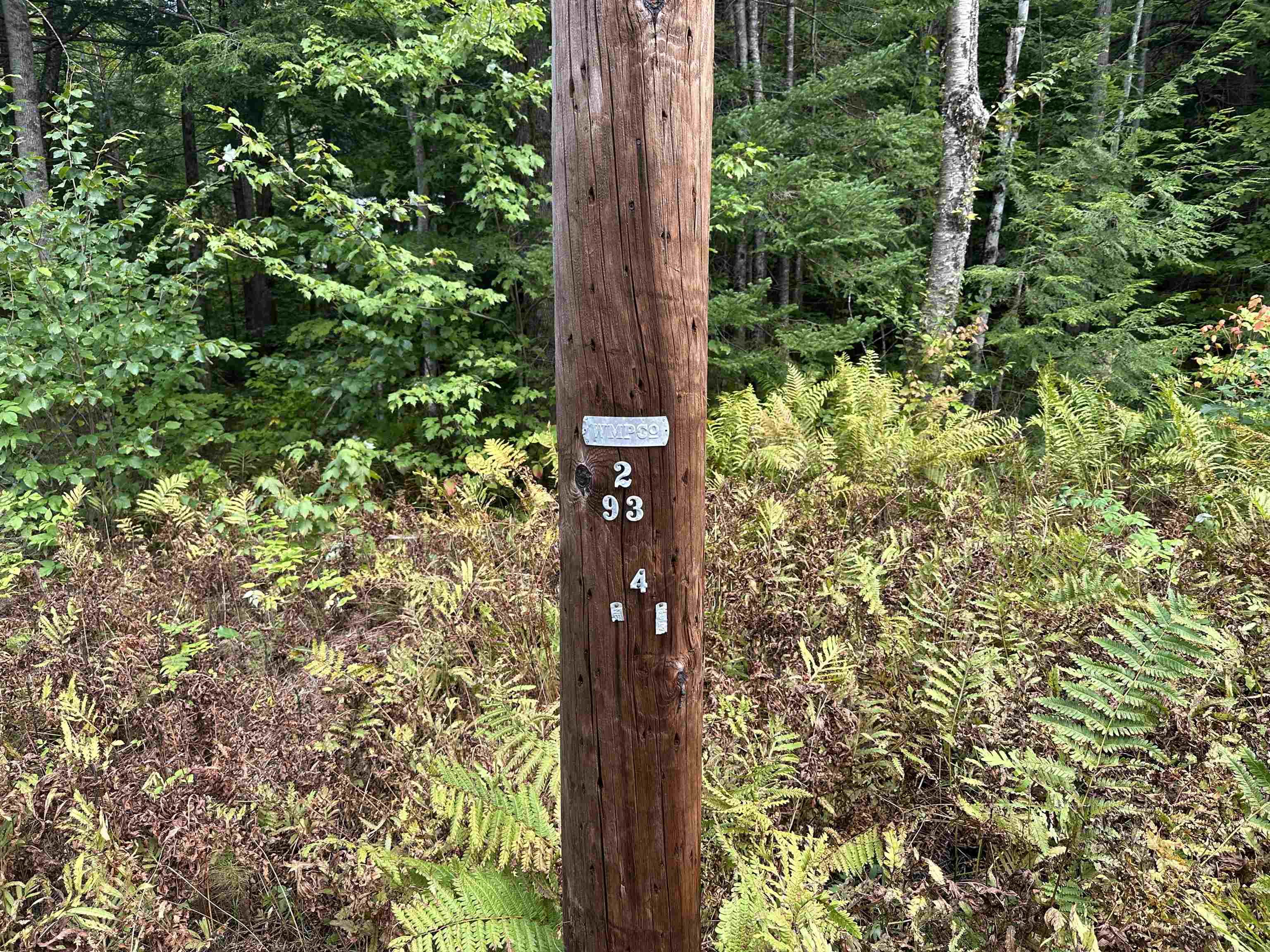 39 Ridge Road Jackson, NH 03846 - Photo 11 of 11