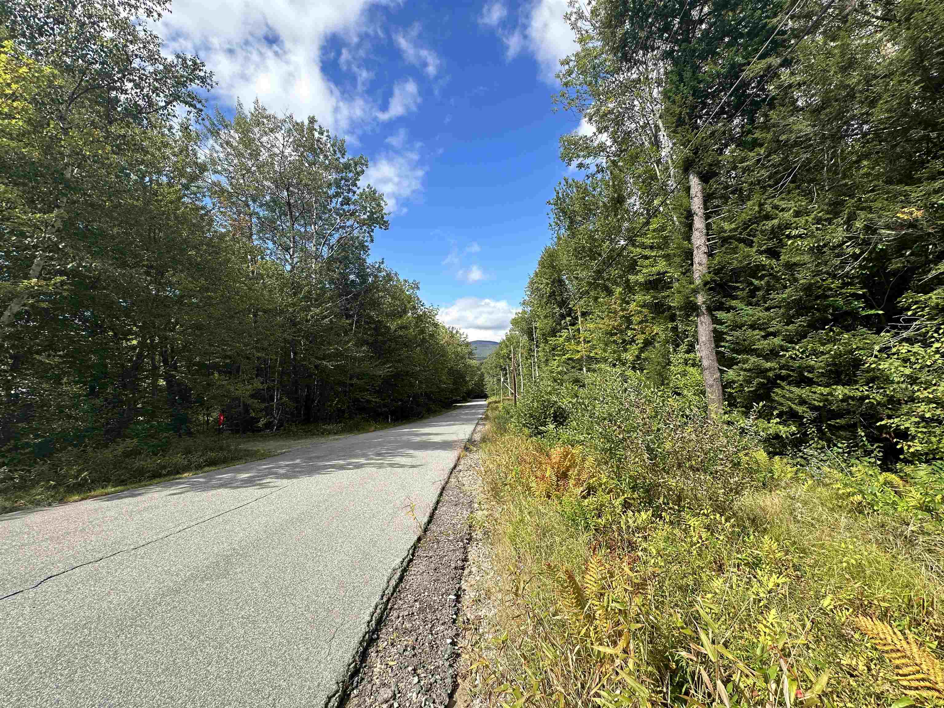 39 Ridge Road Jackson, NH 03846 - Photo 3 of 11