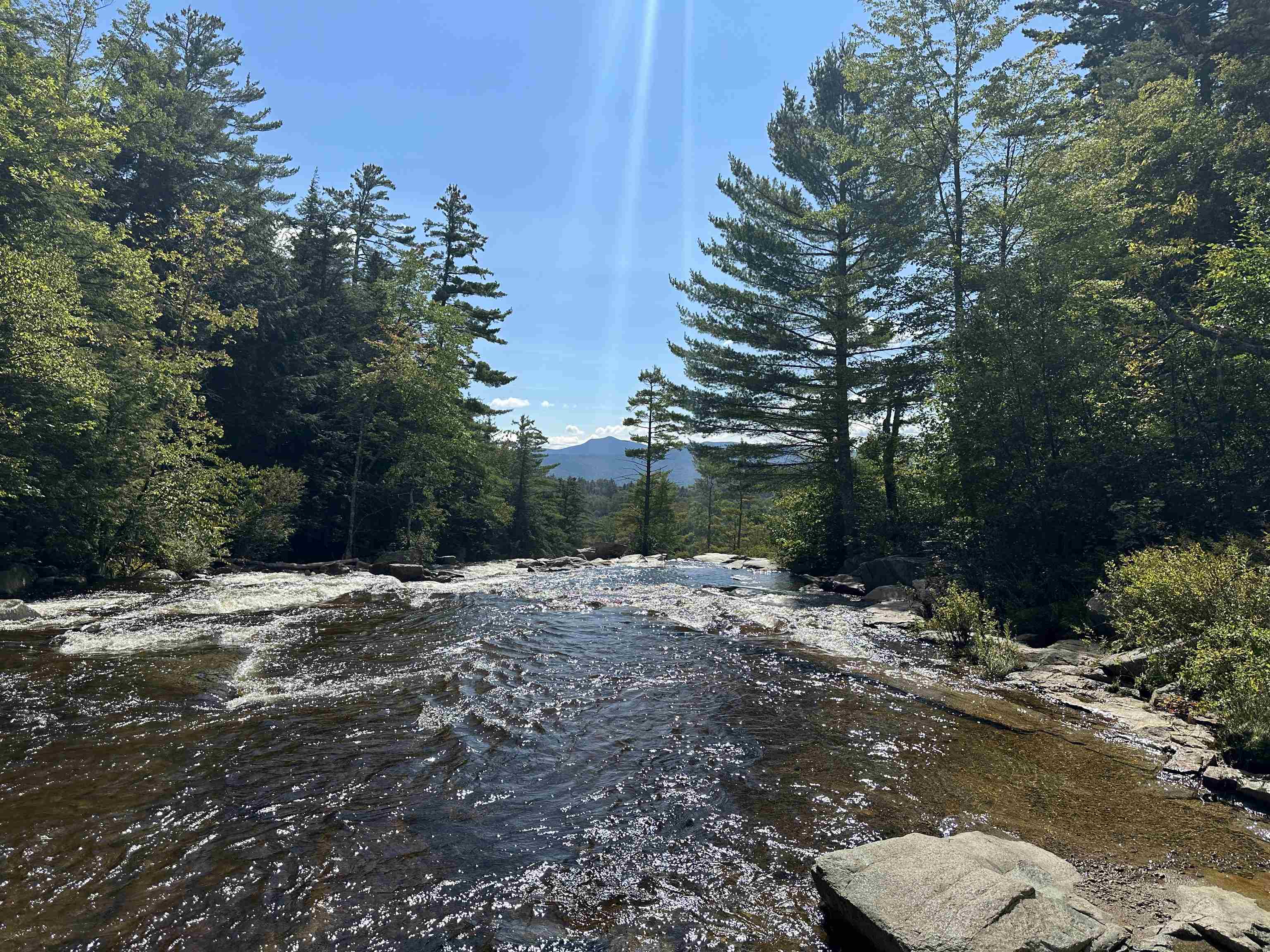 39 Ridge Road Jackson, NH 03846 - Photo 8 of 11