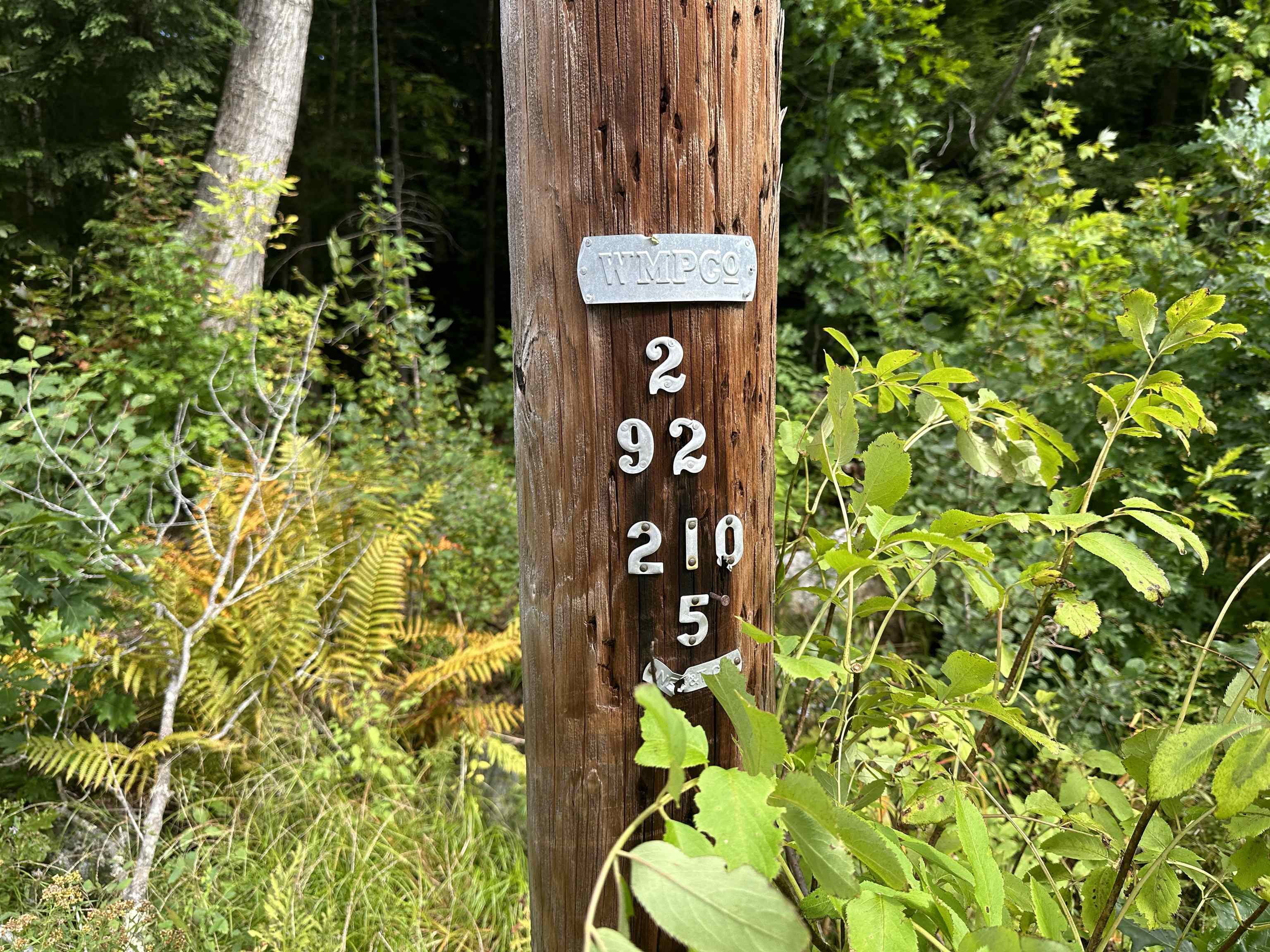 39 Ridge Road Jackson, NH 03846 - Photo 10 of 11