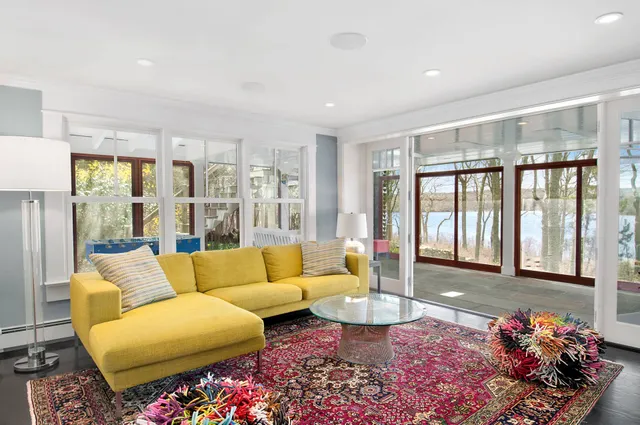 a living room with furniture potted plant and a rug