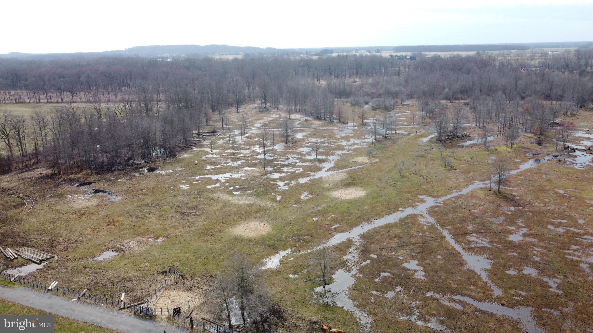 2766 Rt Jobstown, NJ 08041 - Photo 4 of 18 a view of a yard