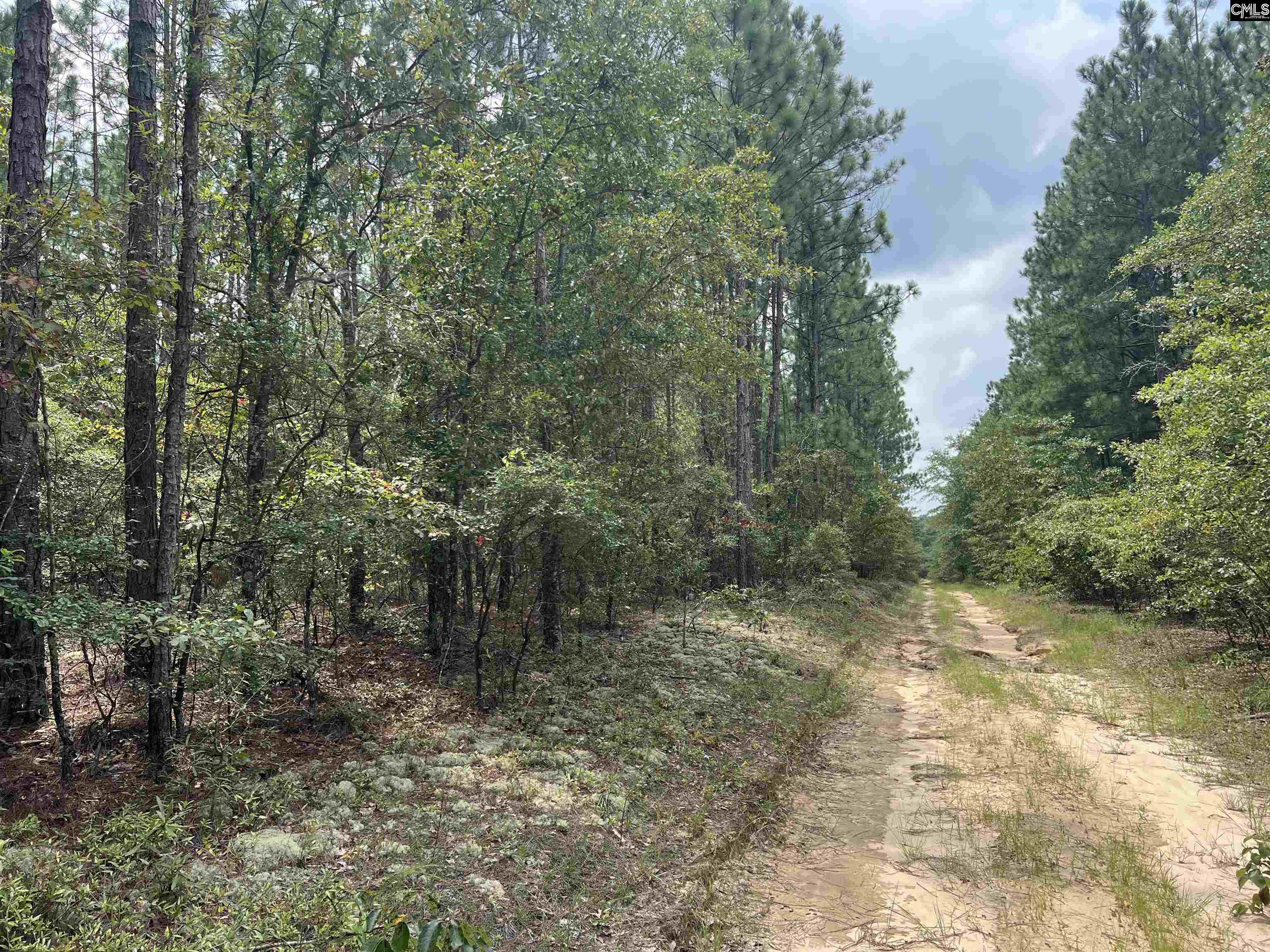 0 Cliff Road Pelion, SC 29123 - Photo 5 of 28