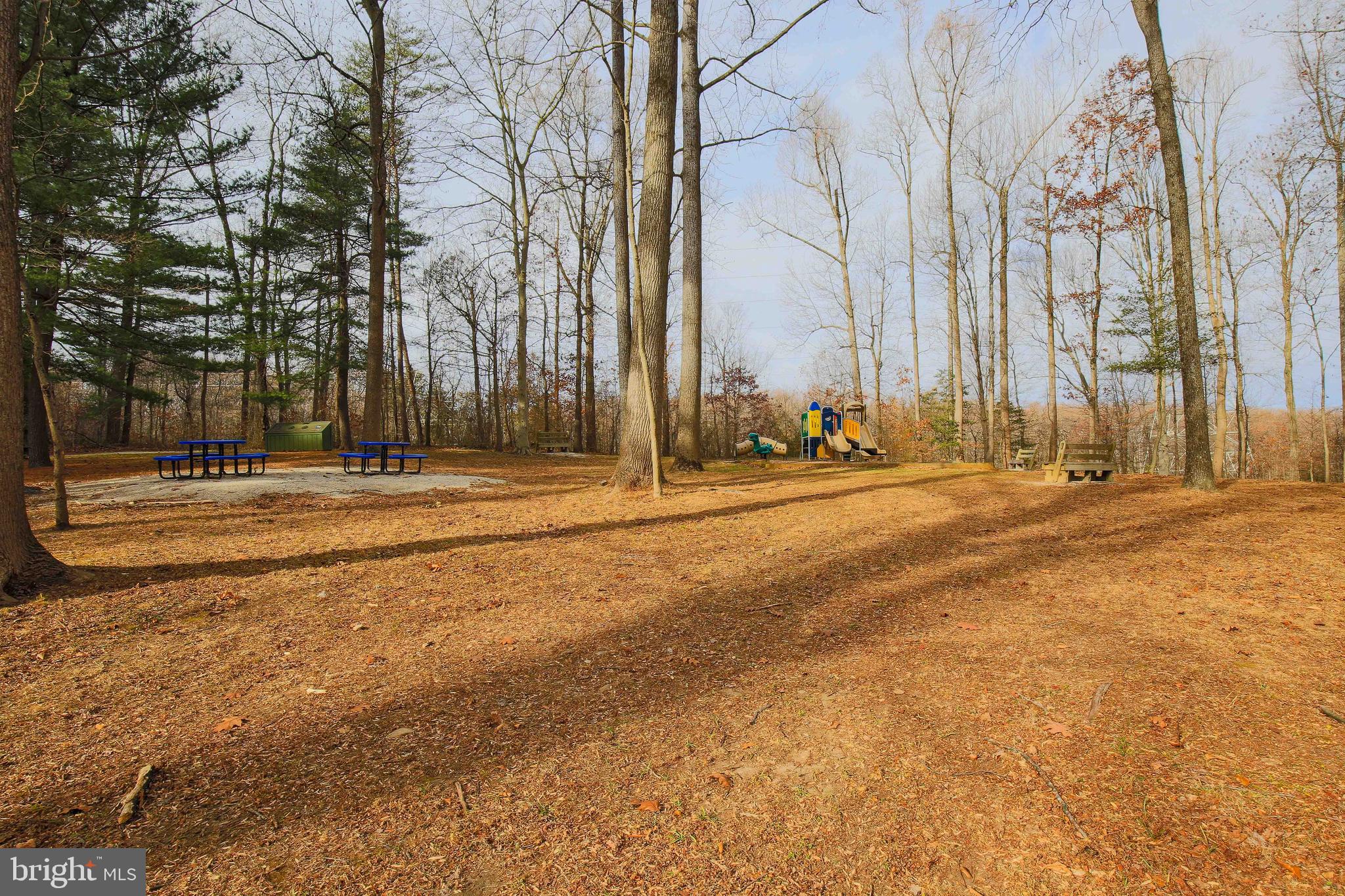 16005 Kent Road Laurel, MD 20707 - Photo 48 of 80 Gallery Image 48