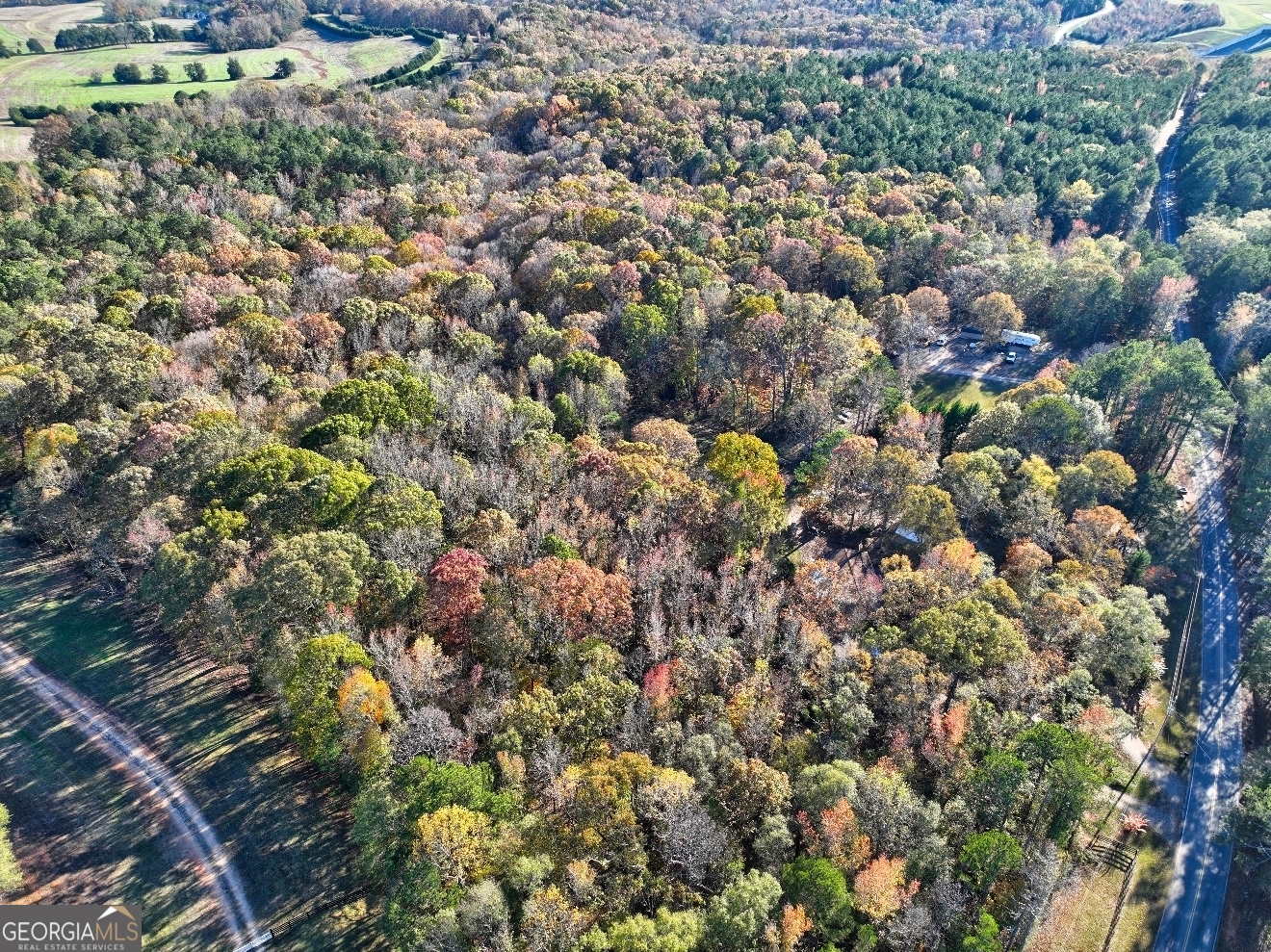 0 Browning Shoals Road, Unit TRACT #1A & #1B Social Circle, GA 30025 - Photo 11 of 17