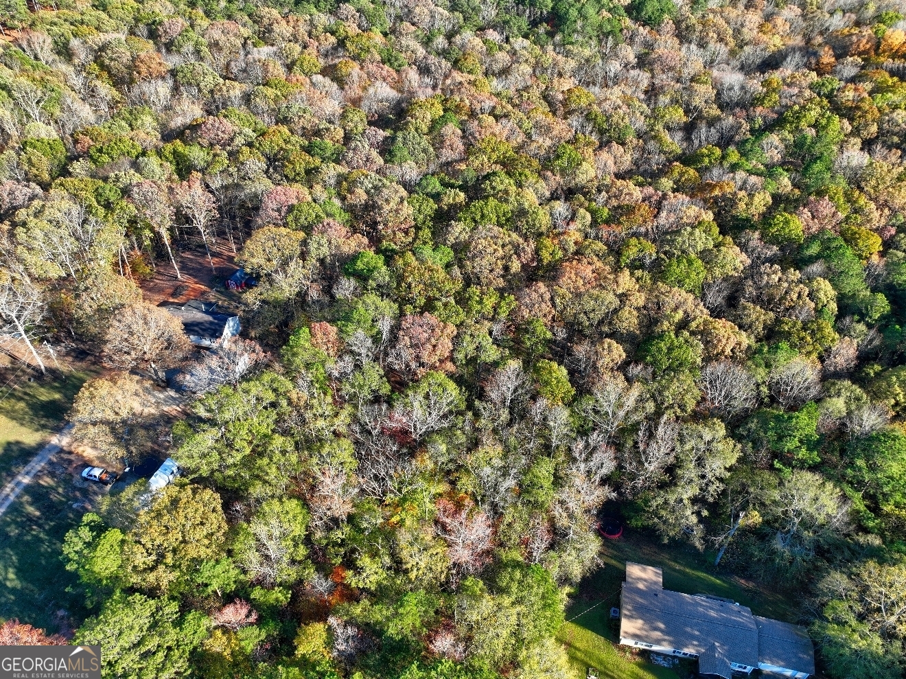 0 Browning Shoals Road, Unit TRACT #1A & #1B Social Circle, GA 30025 - Photo 2 of 17