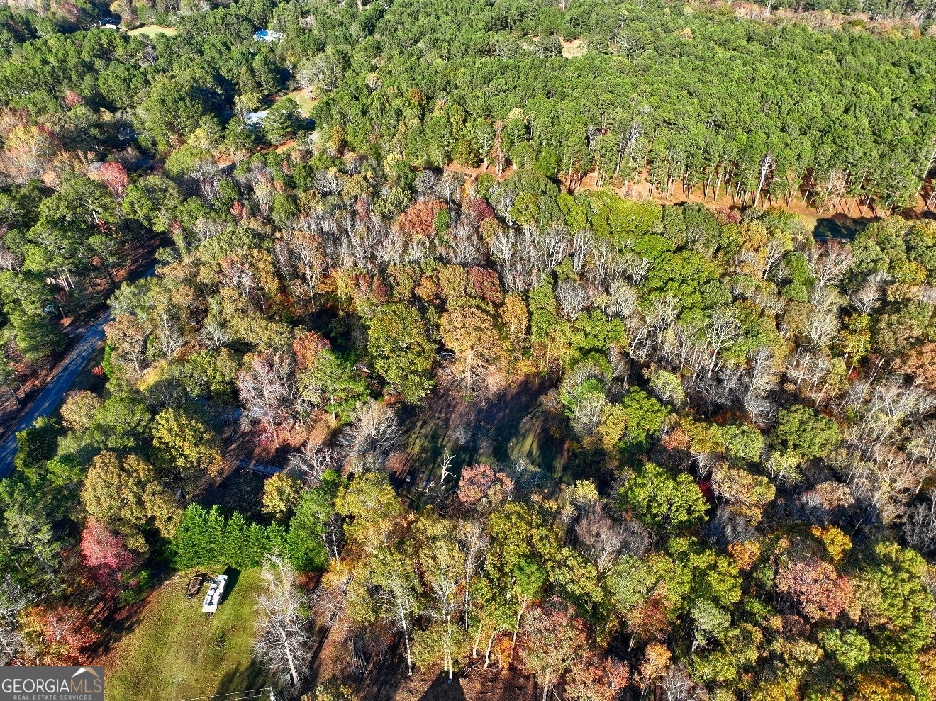 0 Browning Shoals Road, Unit TRACT #1A & #1B Social Circle, GA 30025 - Photo 6 of 17