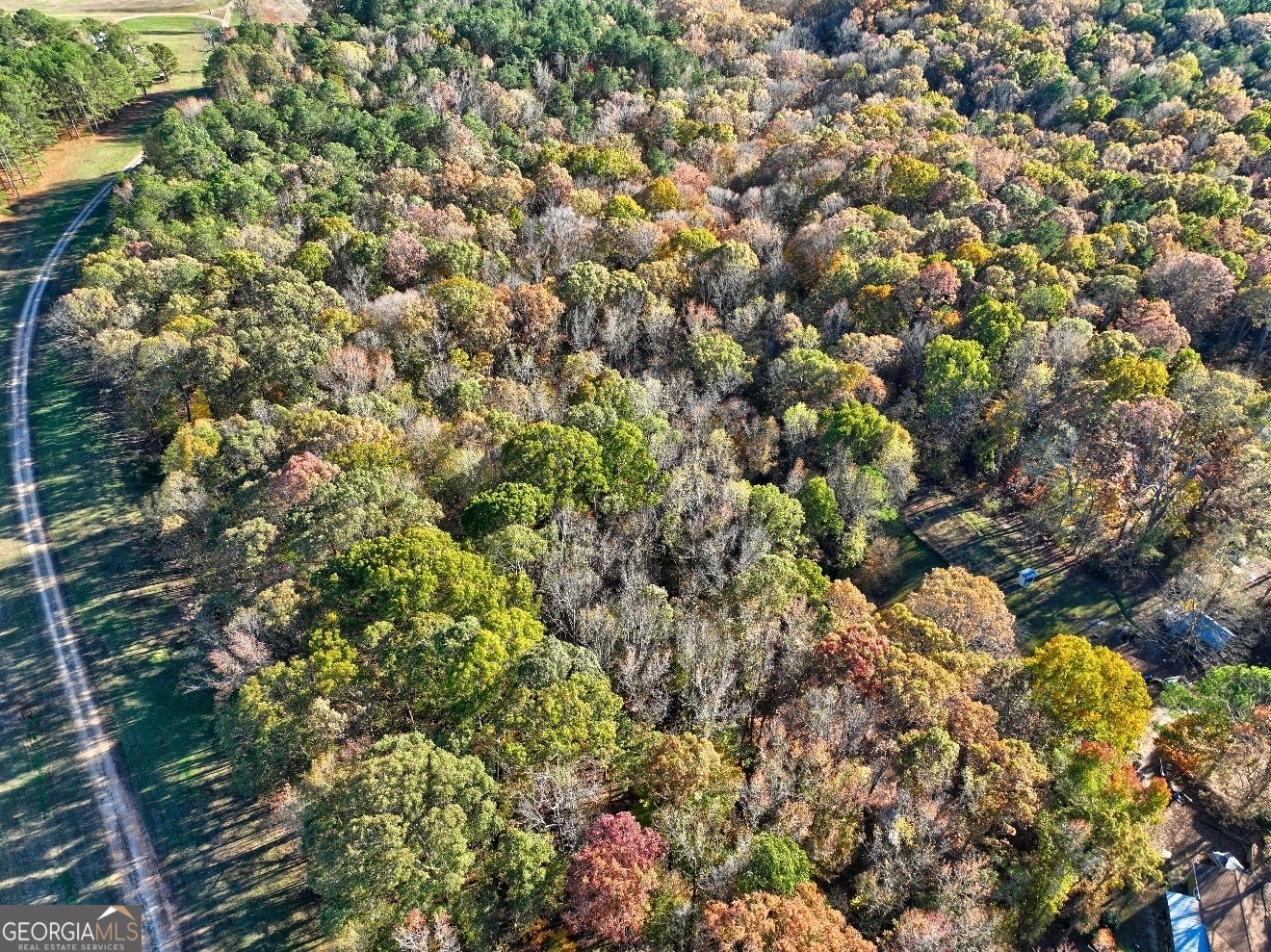 0 Browning Shoals Road, Unit TRACT #1A & #1B Social Circle, GA 30025 - Photo 10 of 17