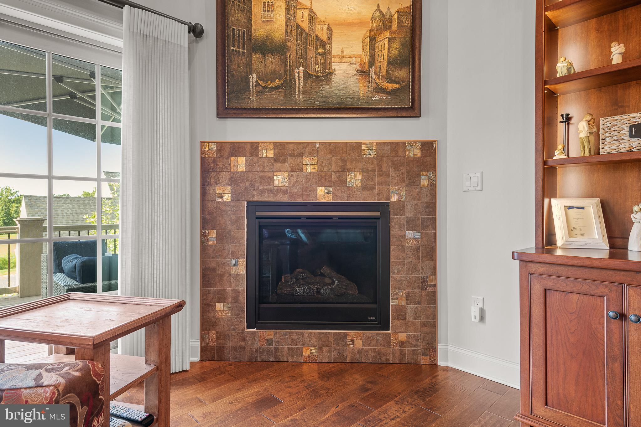 361 Addison Place Lancaster, PA 17601 - Photo 13 of 79 Gas Fireplace