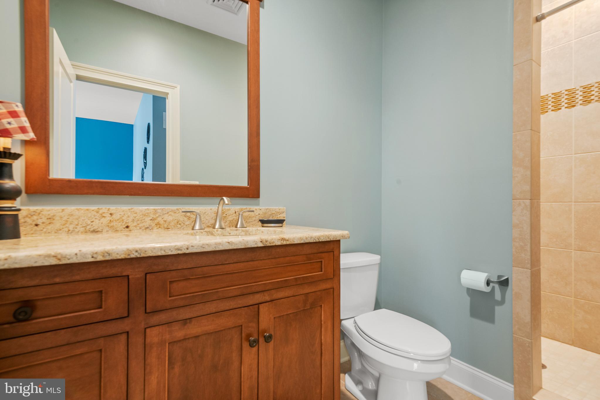 361 Addison Place Lancaster, PA 17601 - Photo 43 of 79 Bathroom 3