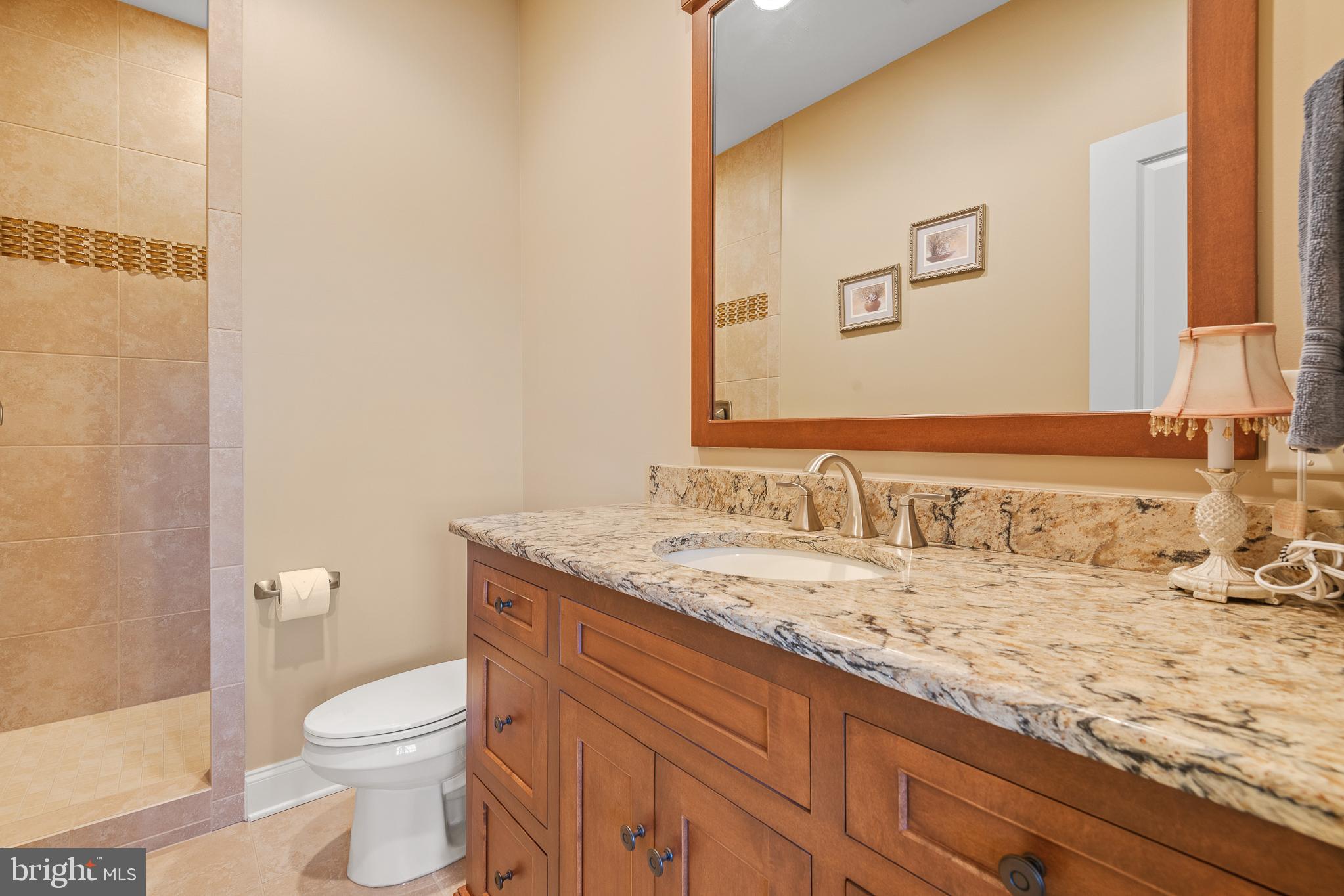 361 Addison Place Lancaster, PA 17601 - Photo 46 of 79 Bathroom 4