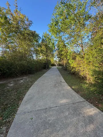 a view of a yard with plants and large trees
