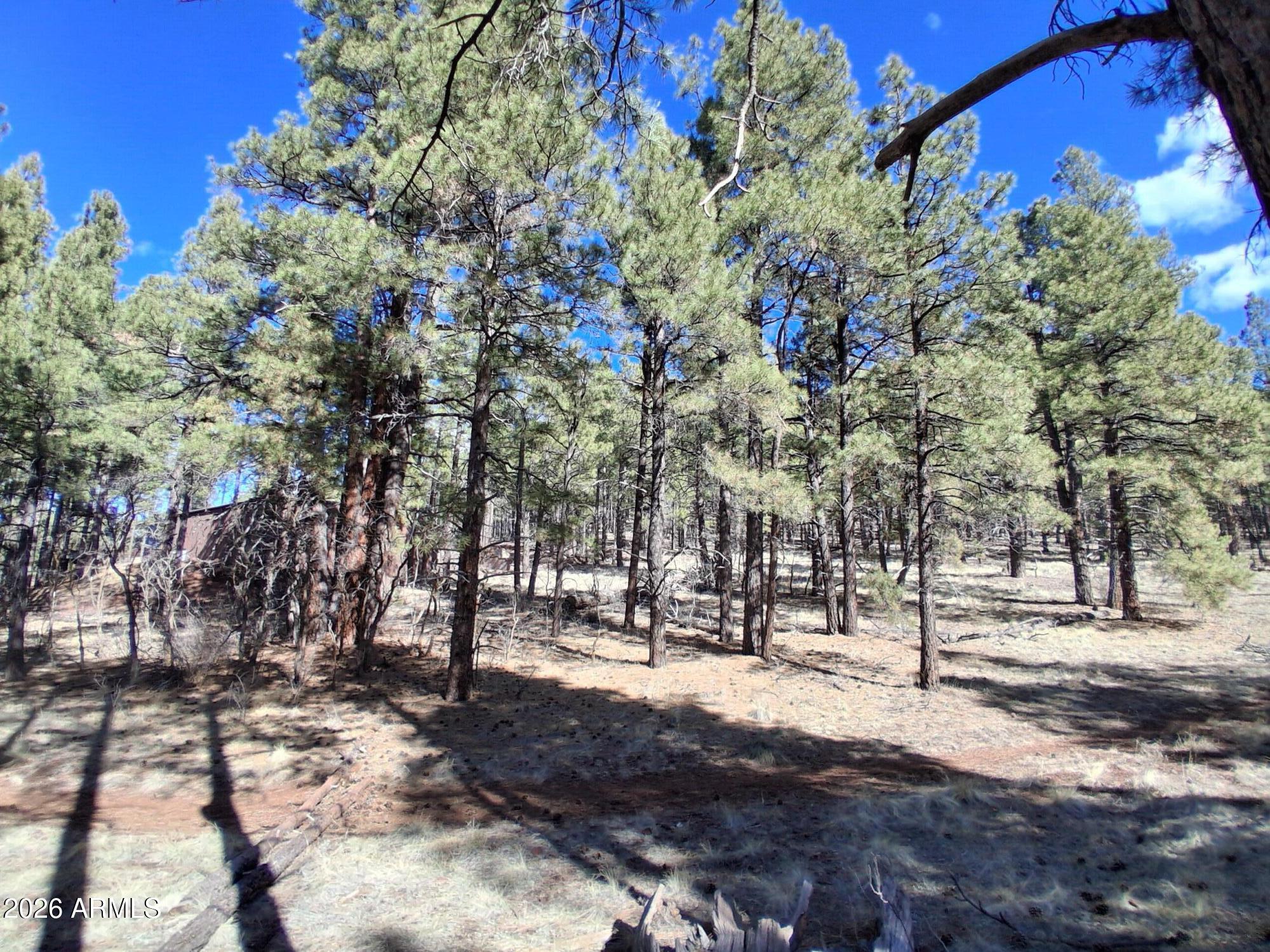 13696 Kings Deer Road Parks, AZ 86018 - Photo 17 of 32 a view of road with covered with trees