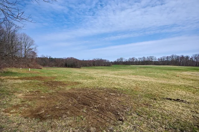 a view of a field with an ocean