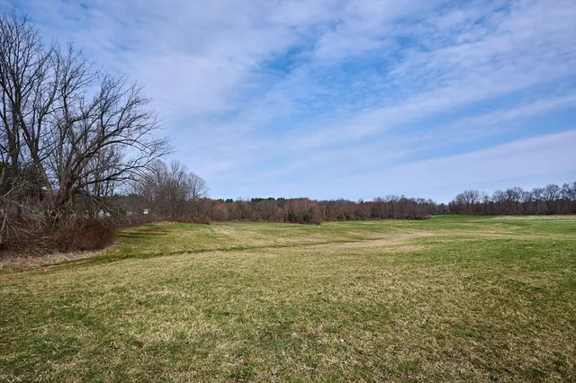 a view of a back yard of the house