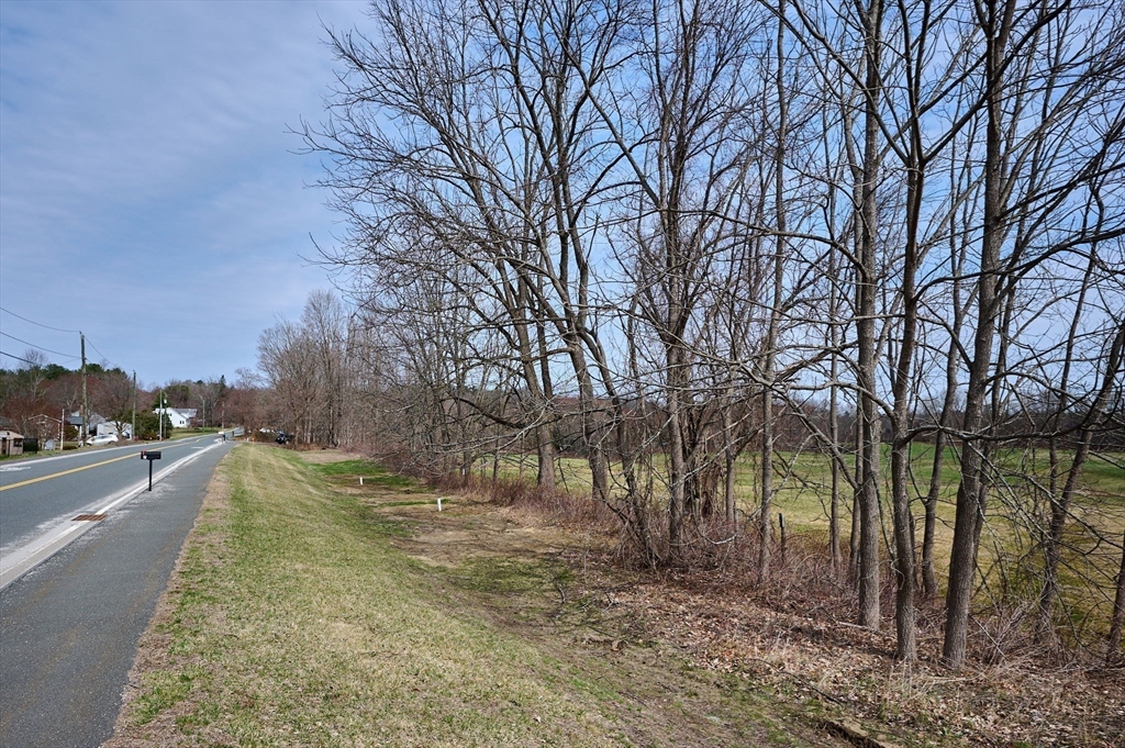 0 Glendale Road Southampton, MA 01073 - Photo 24 of 25 a view of a yard with palm tree