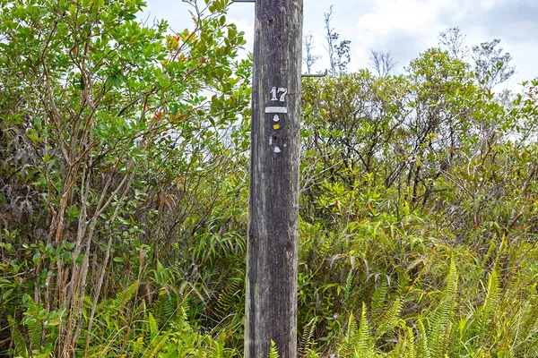 $175,000 | 16-255 Lot 3 Orchidland Drive, Pahoa, HI 96778