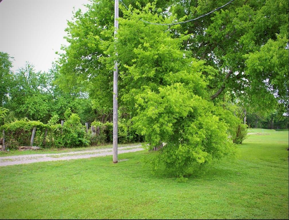 100 Hickory Road Lone Oak, TX 75453 - Photo 7 of 30 a view of a field with a tree