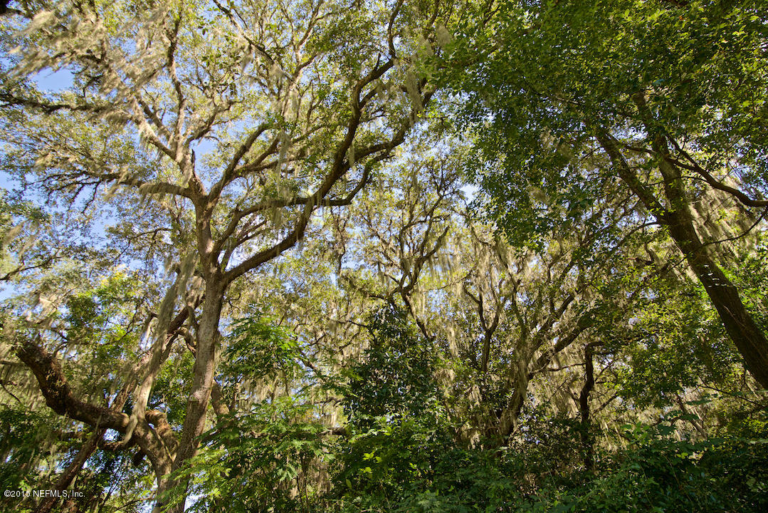 13959 Mandarin Road Jacksonville, FL 32223 - Photo 9 of 10 Beautiful trees