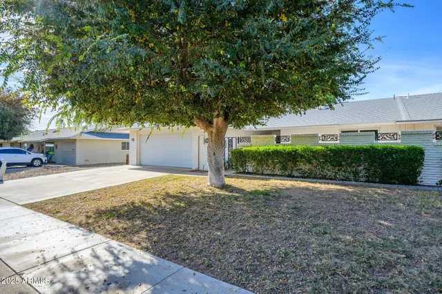 a view of backyard and tree