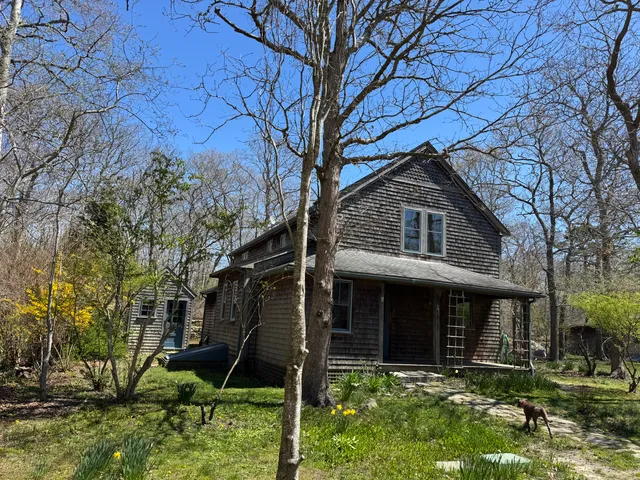 a backyard of a house with plants and a tree