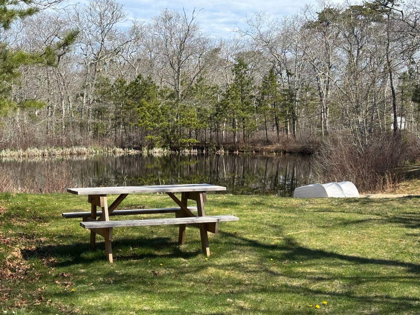4 Rock Pond Road West Tisbury, MA 02568 - Photo 31 of 37 a garden view with a bench