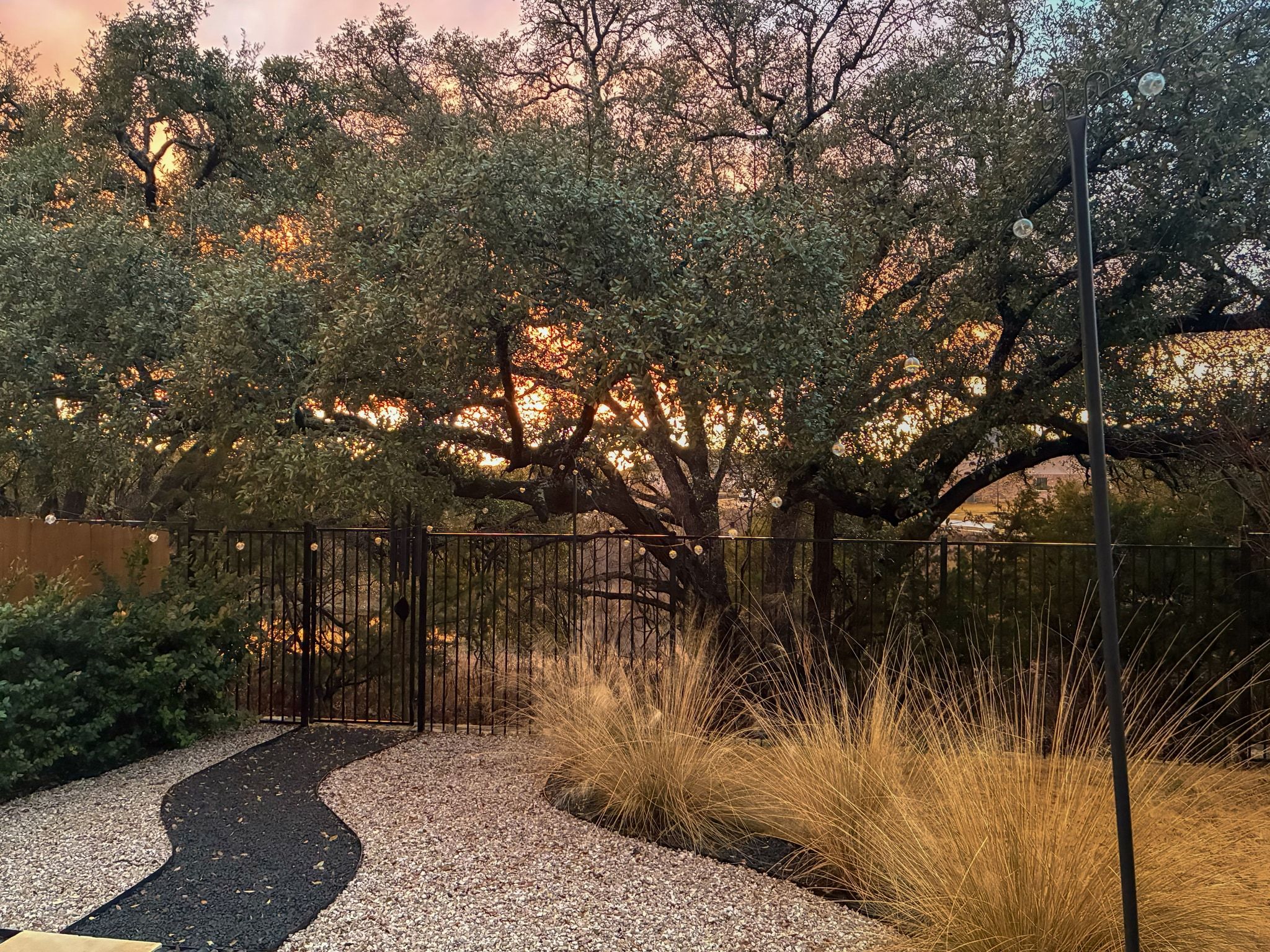 1006 Summer Glen Georgetown, TX 78628 - Photo 33 of 40 A private gate in the back fence provides direct access to the greenbelt trails, offering miles of natural space right outside the home