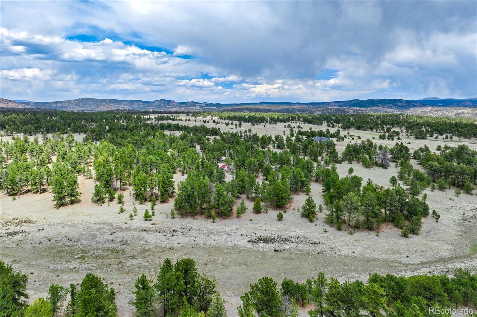 103 Doe Valley Road Guffey, CO 80820 - Photo 18 of 46