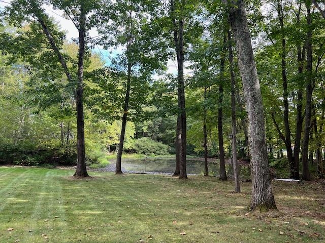 86 North Road North Hampton, NH 03862 - Photo 11 of 50