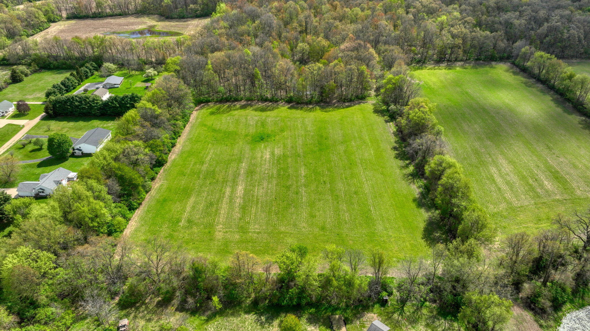 5299 Rives Junction Road Jackson, MI 49201 - Photo 54 of 64 wildlife-country-property