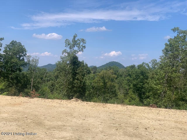 Lot 4 Water Tower Road Lebanon Junction, KY 40150 - Photo 1 of 9 28.8