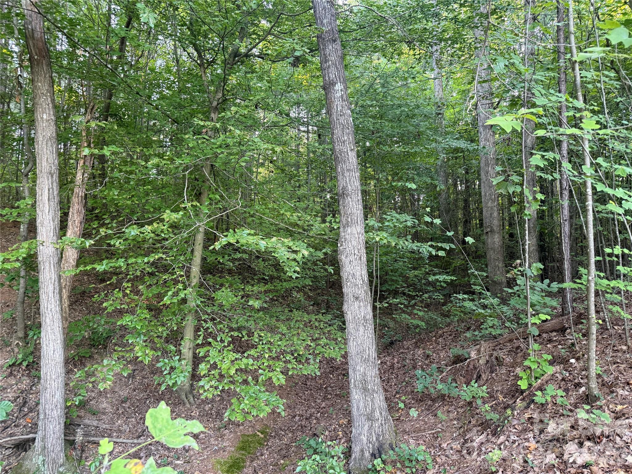 10300 Fink Road, Unit 1 Mount Pleasant, NC 28124 - Photo 13 of 13 Gallery Image 13