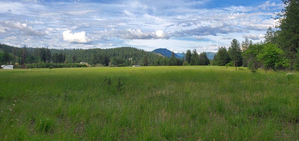6-xx Finley Gulch Road Colville, WA 99114 - Photo 1 of 9 Gallery Image 1