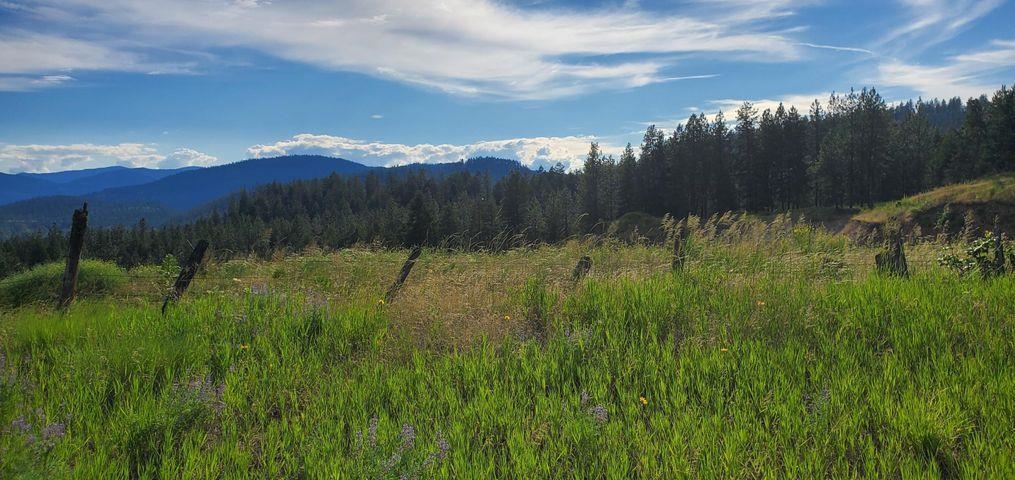 6-xx Finley Gulch Road Colville, WA 99114 - Photo 3 of 9 Gallery Image 3