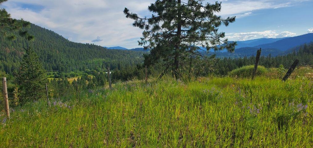6-xx Finley Gulch Road Colville, WA 99114 - Photo 5 of 9 Gallery Image 5