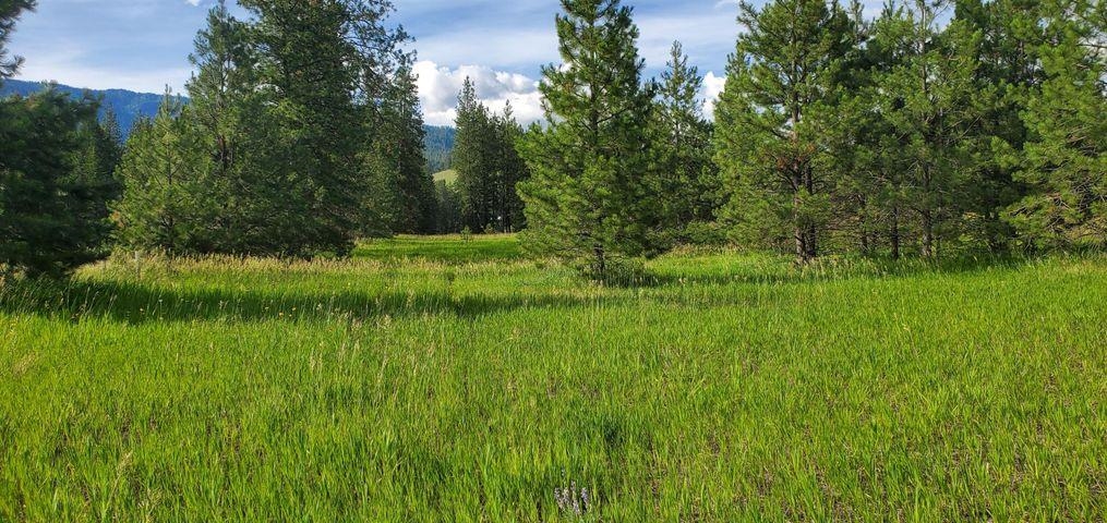 6-xx Finley Gulch Road Colville, WA 99114 - Photo 6 of 9 Gallery Image 6